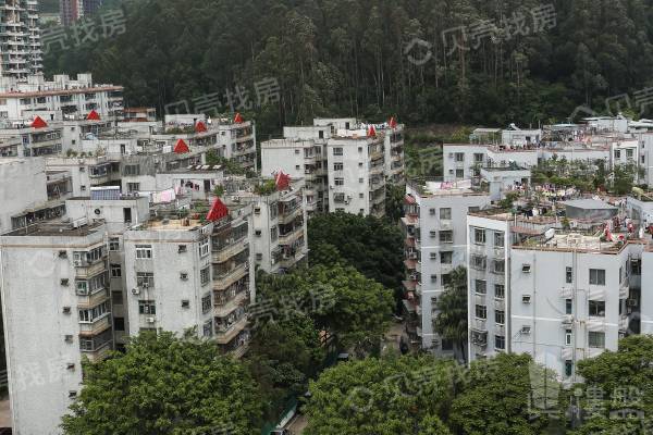 畔山花園|羅湖蓮塘口岸，大四房，業主自住保養好